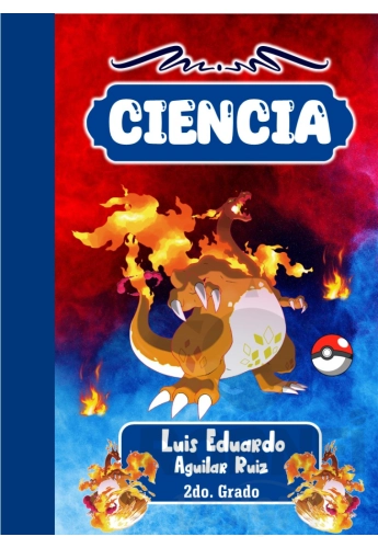 Charizard Gigamax Pokemon 01 Portada